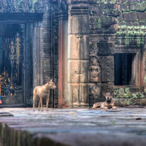 MG 0859 60 61Enhancer : Door, cambodia cambodja, creative options, doors, www.reisfotos.nl (c) J.M. van der Horst