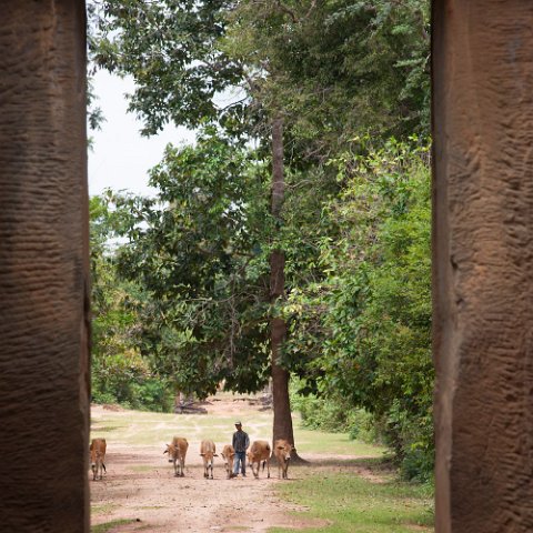 MG 3978 : Door, cambodia cambodja, doors, hdr, hdr basis, hdr basis belicht, hdr original, www.reisfotos.nl (c) J.M. van der Horst