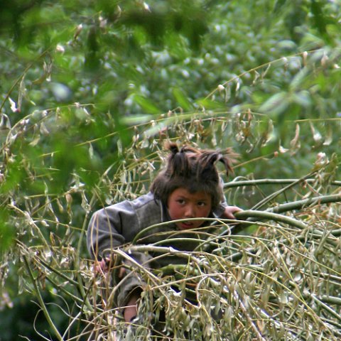 IMG09240  Reis Ladakh, India 2004 met Stichting Danja, www.danja.nl : India Ladakh 2004 Danja kids, second highest motorable pass* Manali Highway, www.reisfotos.nl (c) J.M. van der Horst