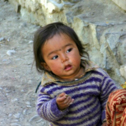 IMG11456  Reis Ladakh, India 2004 met Stichting Danja, www.danja.nl : India Ladakh 2004 Danja kids, India Ladakh 2004 Danja* Tar, www.reisfotos.nl (c) J.M. van der Horst