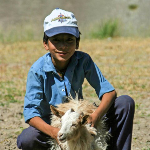 IMG11855  Reis Ladakh, India 2004 met Stichting Danja, www.danja.nl : India Ladakh 2004 Danja* Campsite Orchard at bank Indus Kids, India Ladakh 2004 Danja* Campsite Orchard at bank Indus* Lardo, www.reisfotos.nl (c) J.M. van der Horst