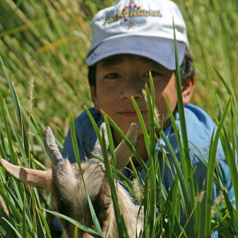 IMG11856  Reis Ladakh, India 2004 met Stichting Danja, www.danja.nl : India Ladakh 2004 Danja* Campsite Orchard at bank Indus Kids, India Ladakh 2004 Danja* Campsite Orchard at bank Indus* Lardo, www.reisfotos.nl (c) J.M. van der Horst
