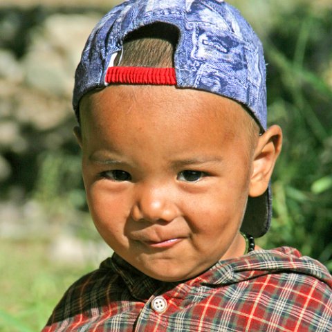 IMG12022  Reis Ladakh, India 2004 met Stichting Danja, www.danja.nl : India Ladakh 2004 Danja campsite Orchard on bank Indus Himalaya kids, India Ladakh 2004 Danja* lardo, www.reisfotos.nl (c) J.M. van der Horst