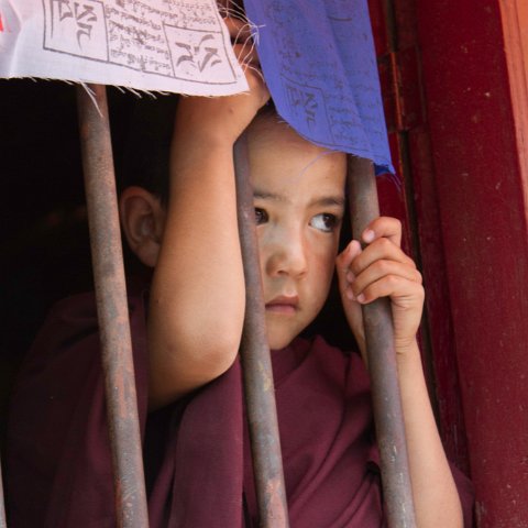IMG 5648 : 2011, Himalayas, India, Zanskar, hdr basis, kids, people
